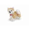 Akita Ascanio M di Trudy Classic Cani