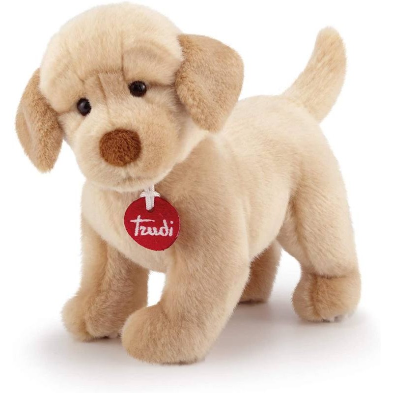 Labrador Liam S di Trudy Classic Cani