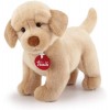Labrador Liam S di Trudy Classic Cani