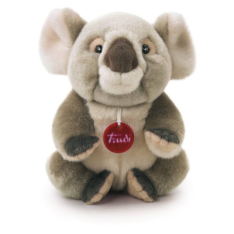 Koala Jamin S di Trudy Classic Esotici