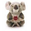 Koala Jamin S di Trudy Classic Esotici