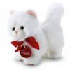 Trudino Gatto Persiano Xs