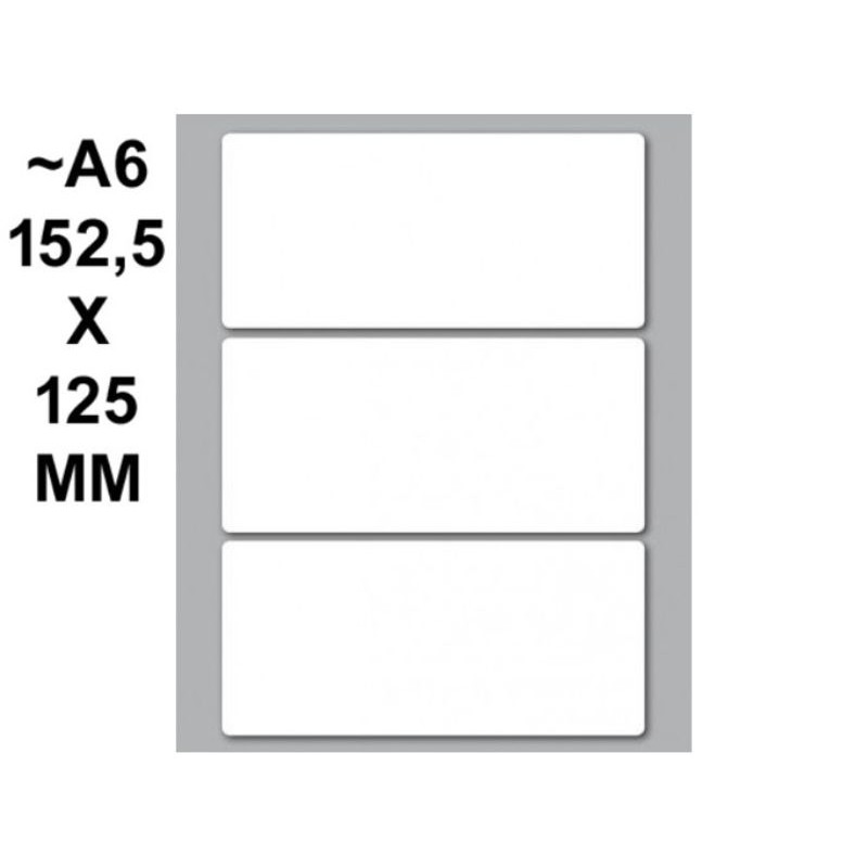 Onf. 10 Buste da 10 Fogli A6 Etichette Permanenti 100x46mm di Kohinoor