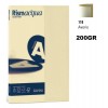 Risma Acqua Confezione 50 Fogli 200 Gr A4 Avorio 110 di Favini