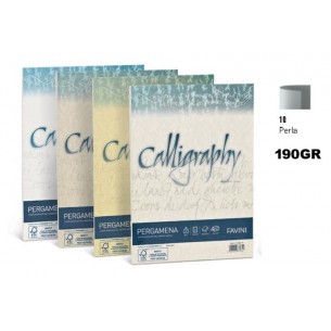 Confezione 50 Fogli Carta Calligraphy A4 190 Gr Perla 10 di Favini