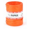 Poliraffia 15mm Aranc.701-54 di Star