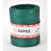 Spoletta Poliraffia Verd.R07 di Star