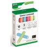 Gessi Colorati Scatola 12 Pz. di Lebez