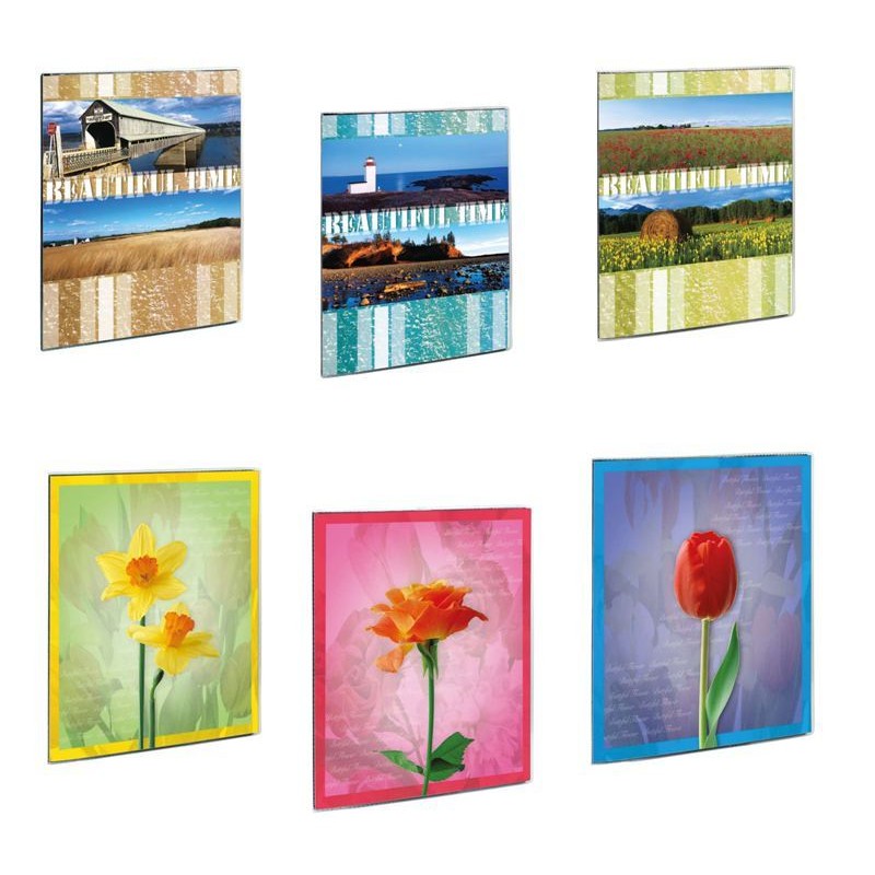 Album 80 Foto 10x15 Cm. 12 Pz. di Lebez