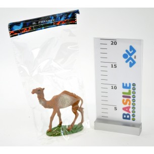 Busta Cammello 10 Cm 10208 di Ciulli-Mario