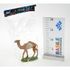 Busta Cammello 10 Cm 10208 di Ciulli-Mario