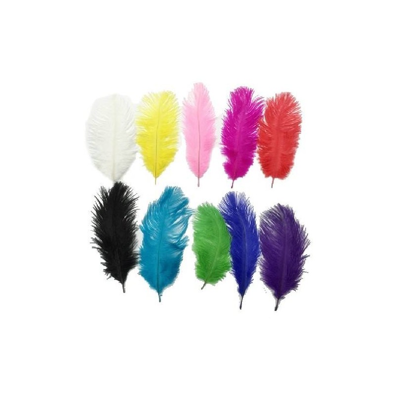 Conf. 10 Piume Struzzo 34/38 Cm Bianco di Papillon