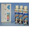 Schiuma 250 Ml Spray di Solchim