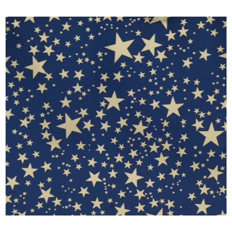 Carta Cielo Stelle Oro Cm 100x70 di Euromarchi