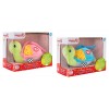 Carillon di Stoffa Tartaruga 16cm 2col Try Me di Globo