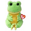Special Beanie Babies 30cm Snapper di Ty Special Beanie B. 30cm