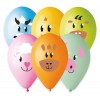 50 Pall. All Around 13" (Cm.33) Farm di Big Party