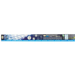 Ramo Bianco 80 Led Est.22966 di Lotti
