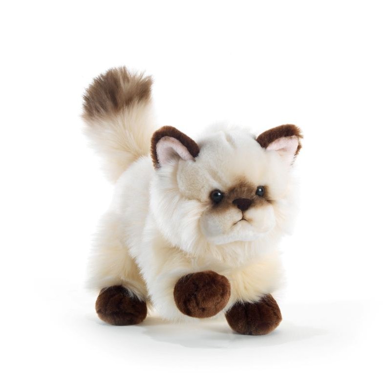 Thaytoo' Gatto Color Point L.21 Cm di Plush-Company