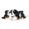 Kessy' Bernese Seduto 21 Cm. H. di Plush-Company