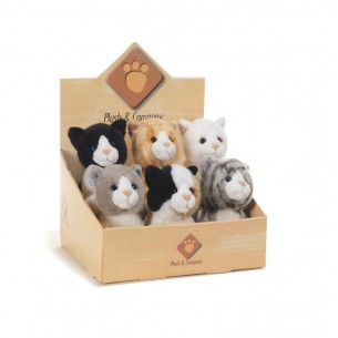 Birbe' Gattini Multipose 6 Ass. di Plush-Company