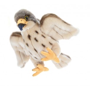Windy Hawk Falco Pellegrino H.27 Cm. di Plush-Company