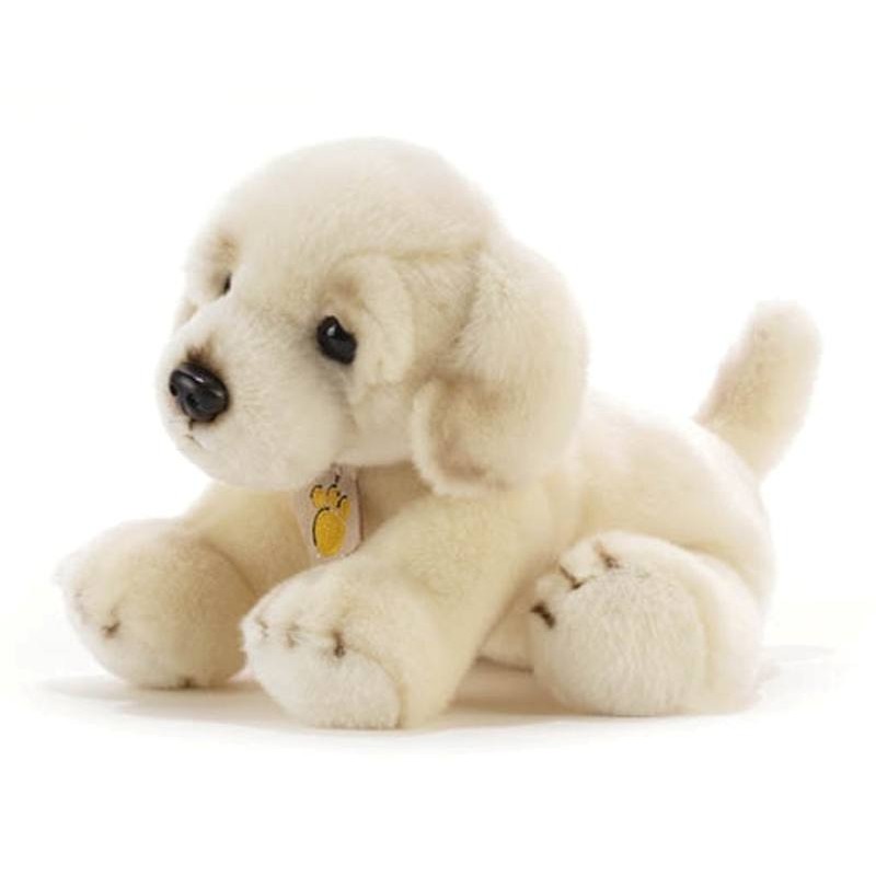 Gaga Cream Retriever L. 30 Cm. di Plush-Company