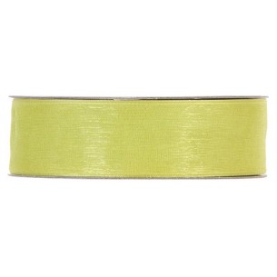 Shining Organza Mm25x50mt Apple Green di Piovaccari Srl