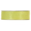 Shining Organza Mm25x50mt Apple Green di Piovaccari Srl
