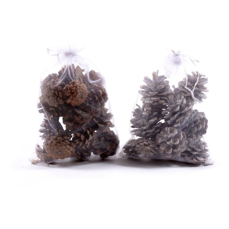 200 Grammi di Pigne in Sacchetto di Organza Colori Assortiti di Mercury Srl