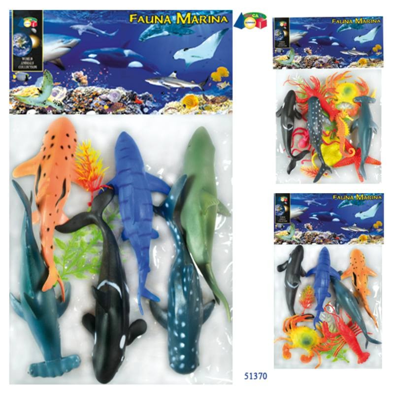 Busta Pesci Fauna Marina Ass. di Givi, Ginocchio
