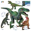 Dinosauro Morbido Ass. di Givi, Ginocchio