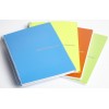 Blocco Fluo Spiralato Forato A4, con Divisori a 5 Sezioni, 232 Pagine 5m di Bluekover.Com Srl