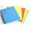 Blocco Fluo Spiralato Forato A4, con Divisori a 5 Sezioni, 232 Pagine 1r di Bluekover.Com Srl