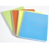 Blocco A4 Forato con Spirale in Plastica , 140 Pagine 5m di Bluekover.Com Srl