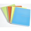 Blocco A4 Forato con Spirale in Plastica, 140 Pagine 1r di Bluekover.Com Srl