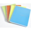 Blocco A4 Forato con Spirale in Plastica, 240 Pagine 5m di Bluekover.Com Srl