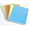 Blocco A4 Forato con Spirale in Plastica, 240 Pagine 1r di Bluekover.Com Srl
