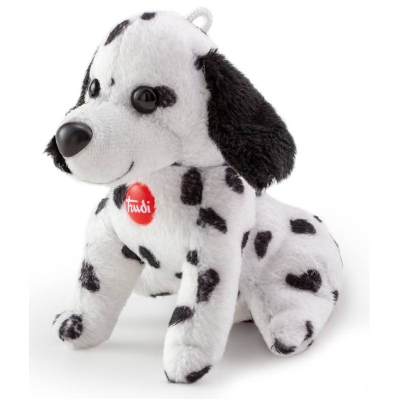 Il cucciolo di dalmata non ha nessuna intenzione di farlo: il video è unico