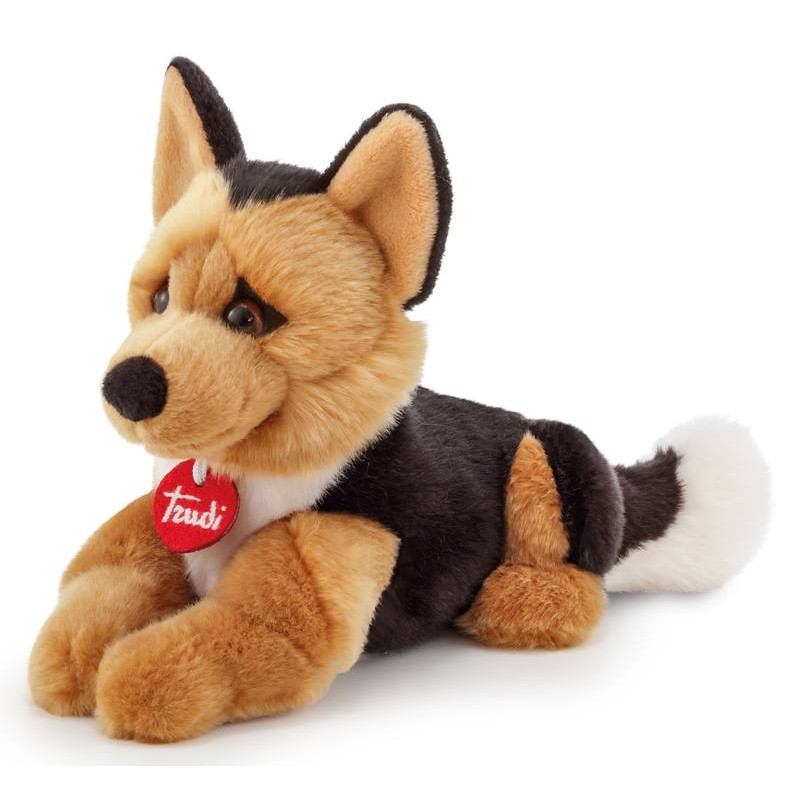Pastore Tedesco Rusty S di Trudy Classic Cani