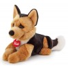 Pastore Tedesco Rusty S di Trudy Classic Cani