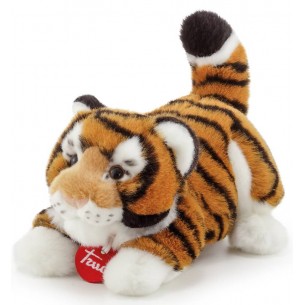 Tigre Bruce S di Trudy Classic Esotici