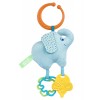 Passeggio Elefante di Artsana