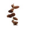 Pinecone Garland With 724505 di Kaemingk