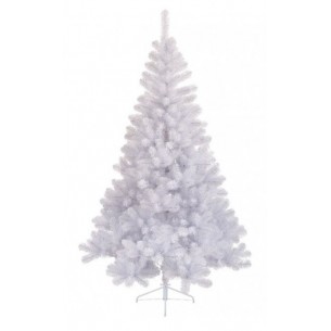 Pino Imperiale Bianco 180cm di Kaemingk