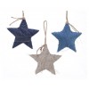 Pes Star W Hanger 3col Ass, Colour: Assorted, Size: Dia12.5x3.5cm di Kaemingk