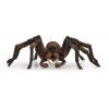 Aragog (Wizarding World ) di Schleich Wizarding World