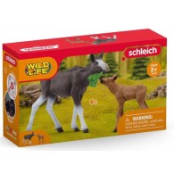 Femmina di Alce con Cucciolo (Wild Life) di Schleich Wild Life
