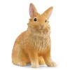 Coniglio Testa di Leone (Farm World - Price Green) di Schleich Farm World