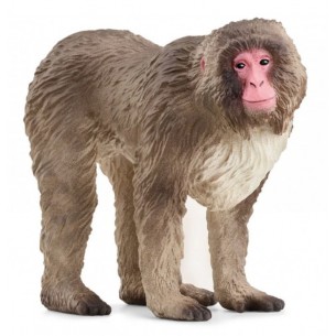 Macaco Giapponese (Wild Life - Price Yellow) di Schleich Wild Life